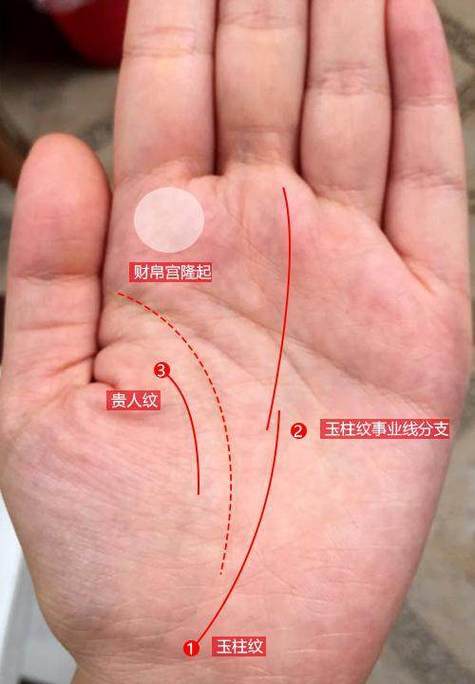 娶富家千金的男人手纹