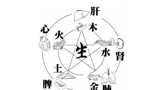 五行缺木的人忌什么颜色
