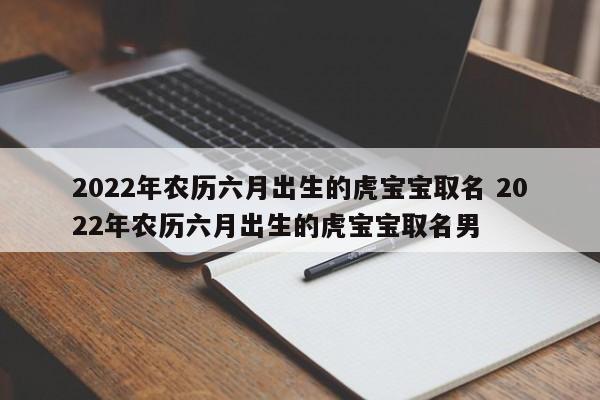 2022年农历6月虎宝宝取名
