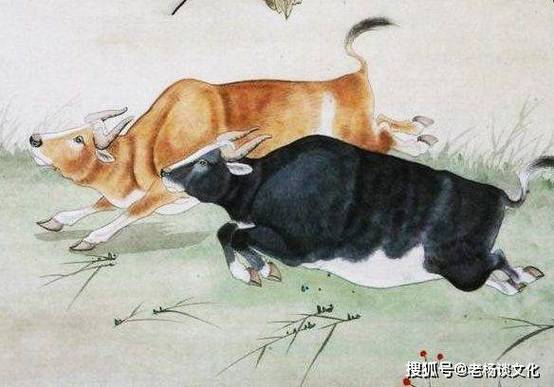 6月中旬运势飞跃,事业上升,财运旺盛的三个生肖