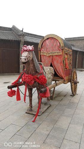 梦见赶马车周公解梦,梦见赶马车是什么意思?