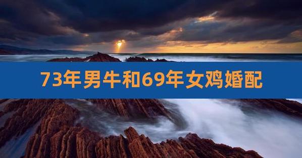 69年鸡和73年牛相配吗