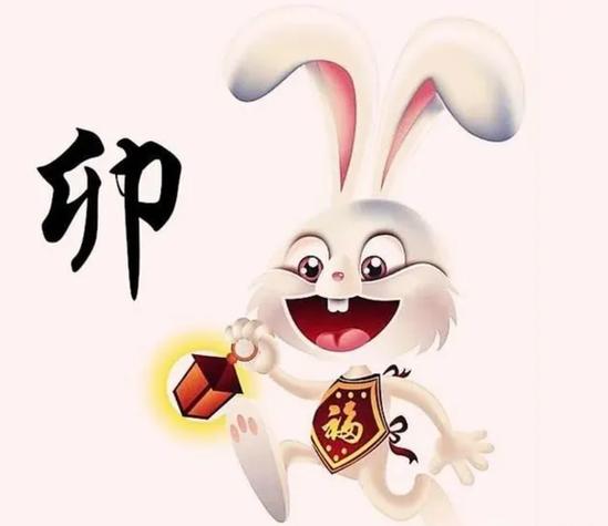属兔2020年爱情运势
