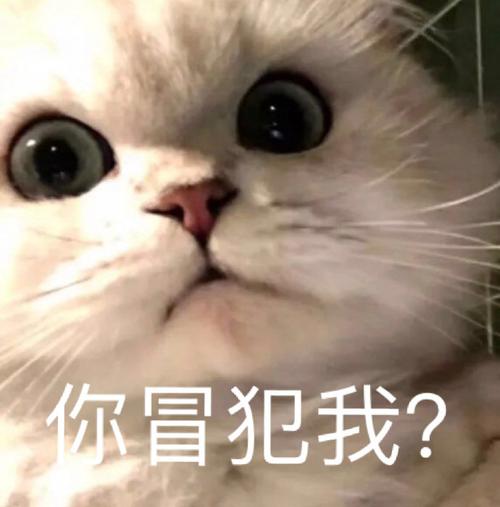 冒犯别人