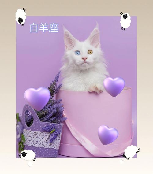 白羊座喜欢的动物是什么