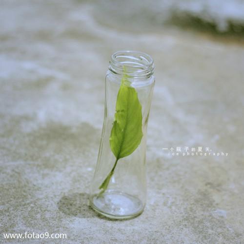 梦见捡瓶子