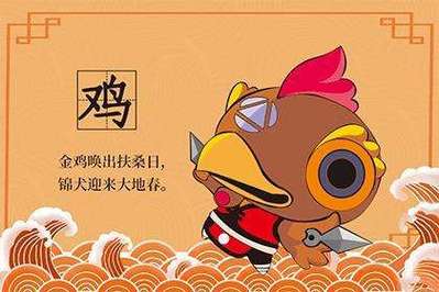 属兔和属鸡的合财吗