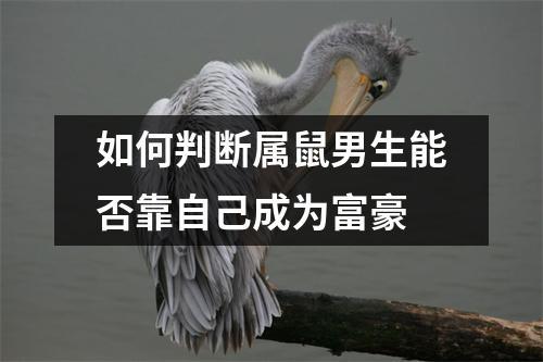 如何判断属鼠男生能否靠自己成为富豪