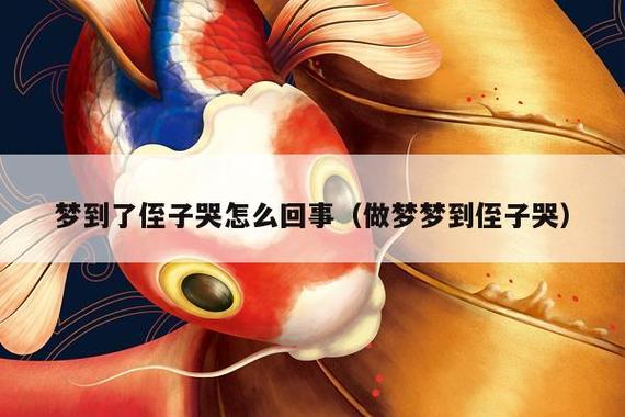 梦见侄子哭