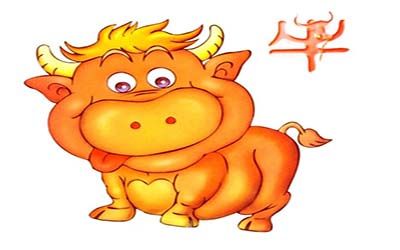 属牛的人什么性格