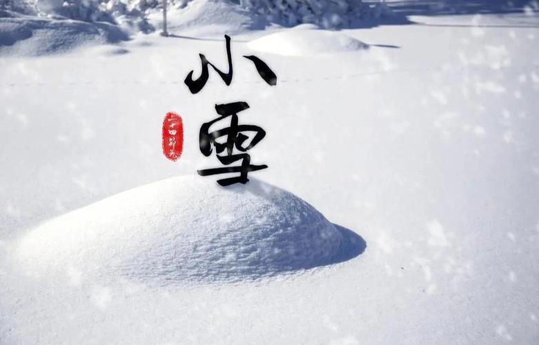 2021年小雪节气出生的宝宝名字