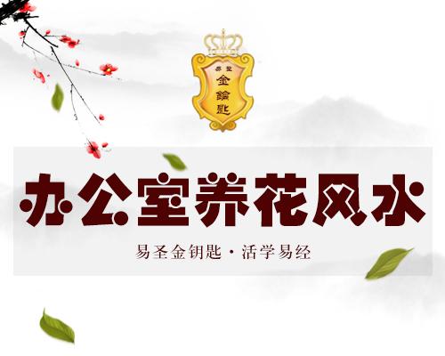 商业:办公养花风水与五行八卦