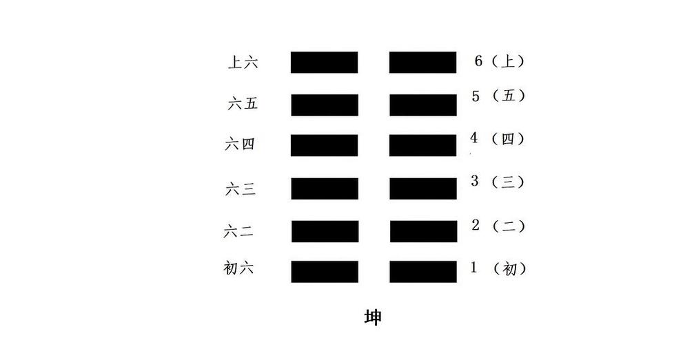 怎么看懂易经卦中的六爻
