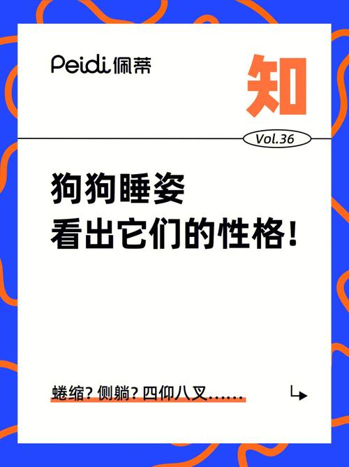 从坐相睡姿看你的性格命运