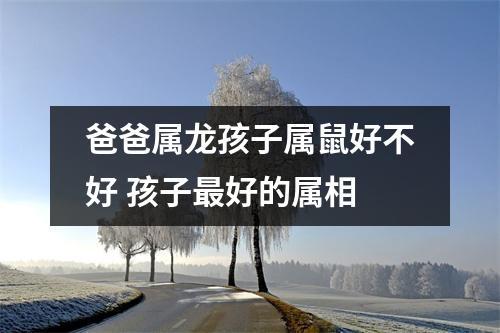 爸爸属龙孩子属鼠好不好