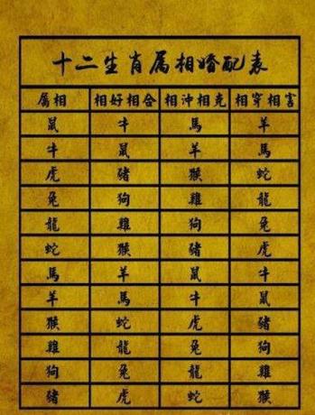非常恩爱的生肖配对