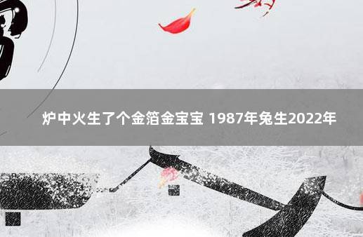 炉中火生了个金箔金宝宝