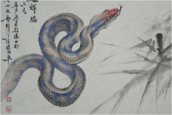 生肖蛇努力奋斗一生是为了什么
