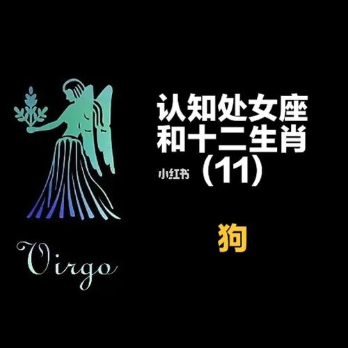 2019年处女座属狗的运势