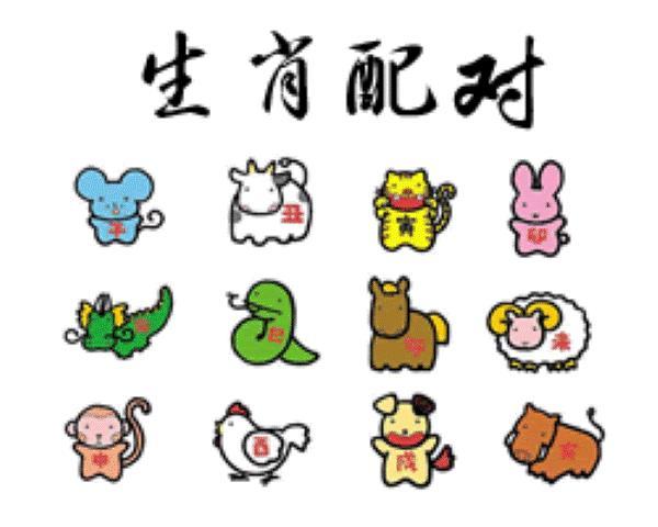 12属相幸福家庭组合