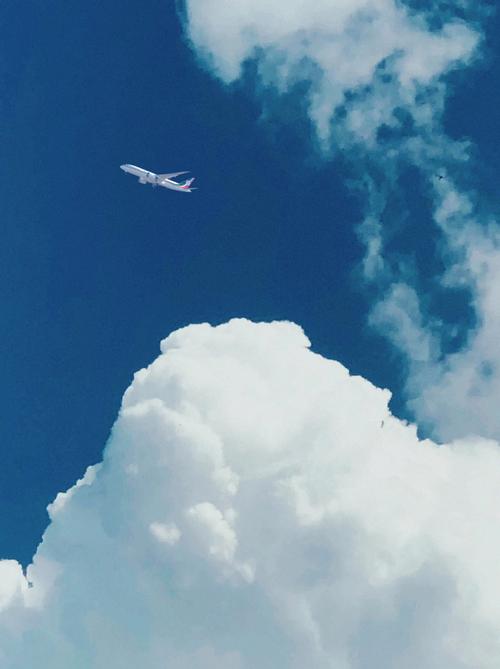 向往天空和自由