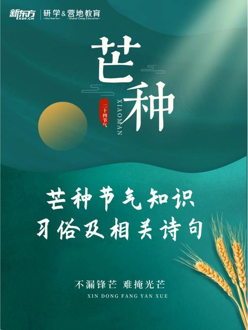 什么是芒种?芒种注意什么?