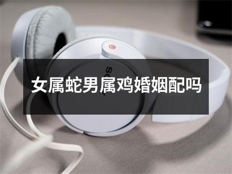 女属蛇比男属鸡大4岁是上等婚姻吗