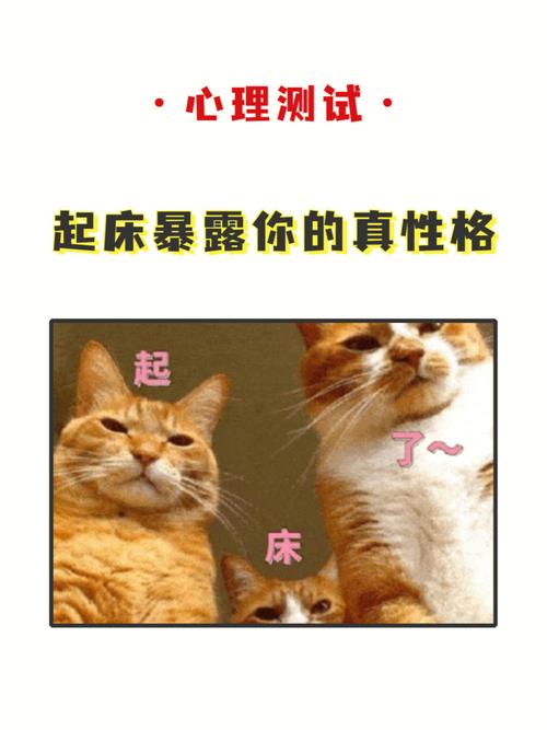 心理测试：起床做什么看出你的性格。