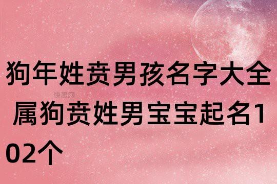 贲姓男孩名字100分