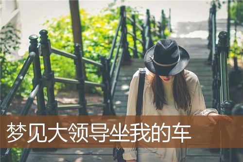 梦见坐老板的车