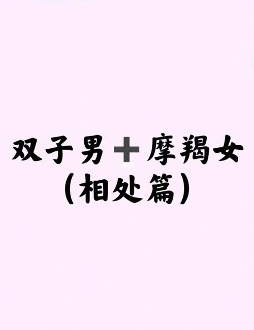 摩羯座男生和双子座女生在一起会怎样