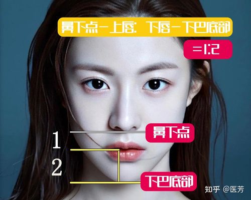 什么样的下巴会比较好