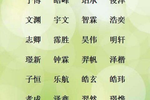 带有乐字的男孩名字