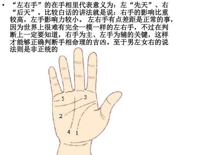 如何看面相手相?自断吉凶不求人!