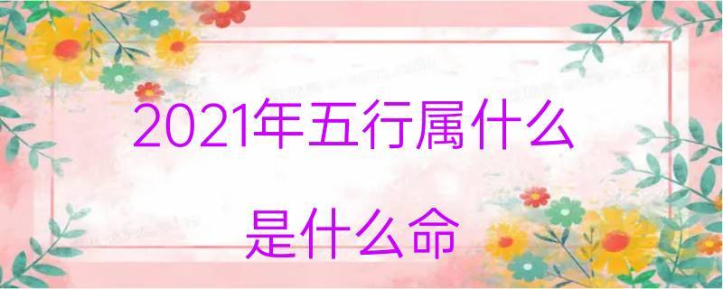 2021年是什么年什么命
