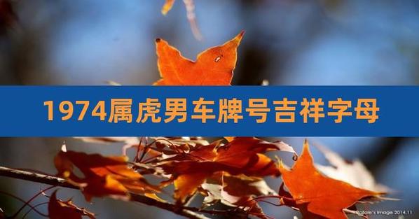 1974属虎车牌号吉祥字母有哪些