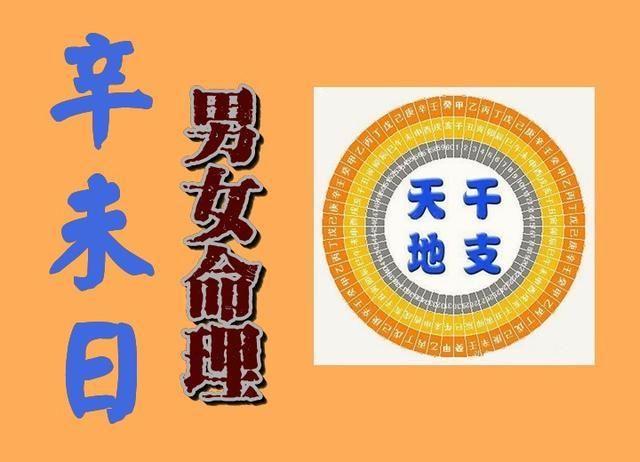 十大富贵日柱辛未日
