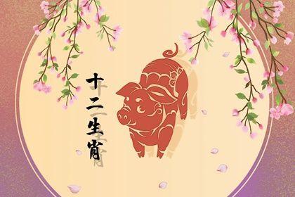 2022年事业运最火爆的生肖