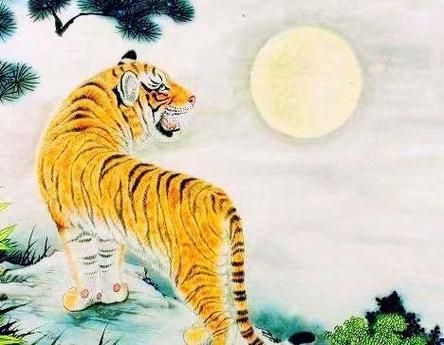 虎人生于酉时命运好吗?
