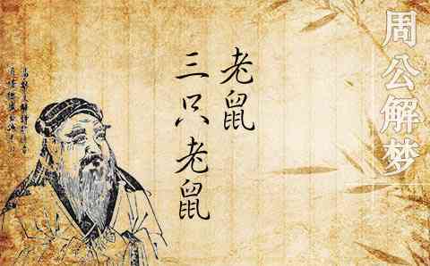 梦见三只老鼠