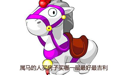 属马人在买过最奇葩的东西是什么