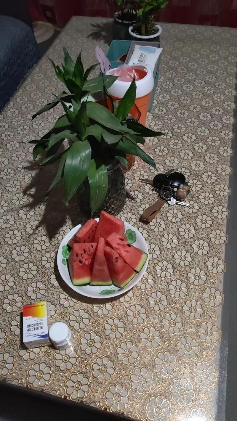 梦见老房子里妈妈做饭