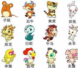 十二生肖中,后半段开始有贵人来访,得到钱,金银满3生肖