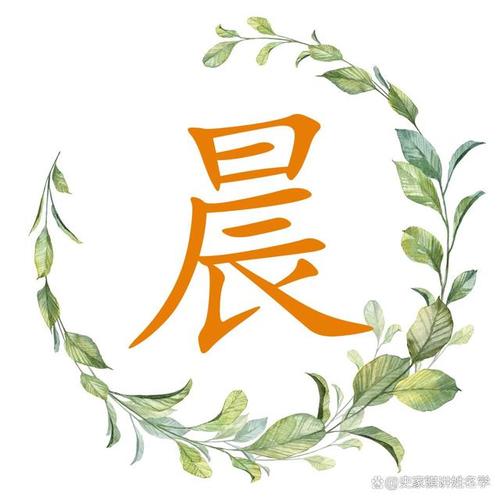 2020年6月5日芒种出生鼠宝宝五行缺什么,起名宜用字解析