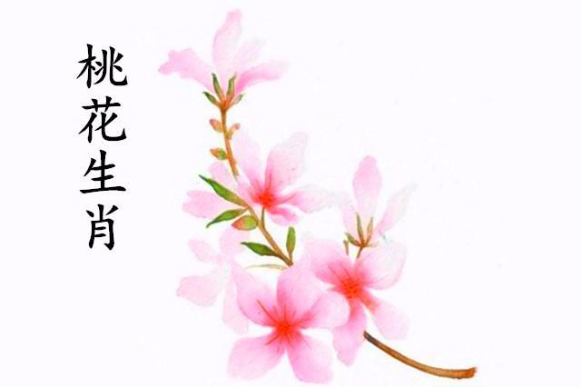一生桃花旺的四大生肖