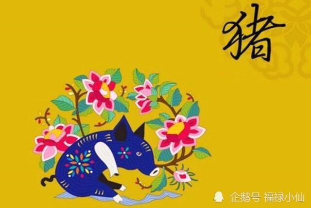 属猪人进入社会后都会有什么样的梦想