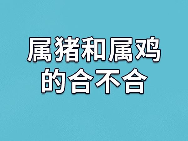 2021年属猪和属鸡配对运势不高
