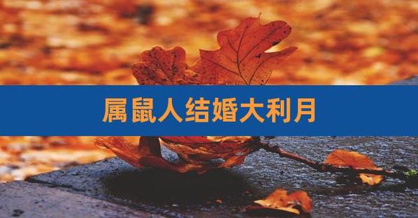 2022年属鼠的结婚大利月