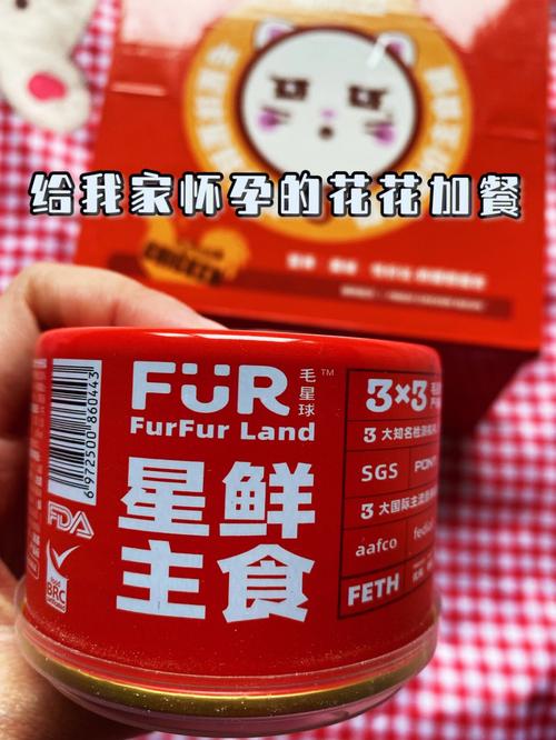 梦到给饥饿的猫喂食是什么意思