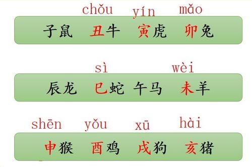 十二生肖好听的称呼